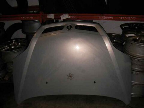 CAPO RENAULT SCENIC I (JA) 1.4 16V Expression