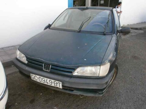 ELECTROVENTILADOR PEUGEOT 306 35 PT. (S1)(01.1993) Graffic
