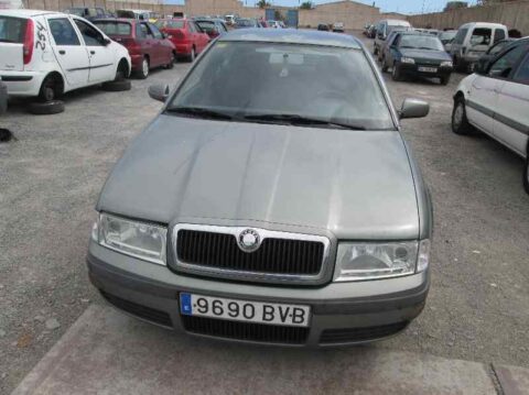 CAUDALIMETRO SKODA OCTAVIA BERLINA (1U2) Ambiente