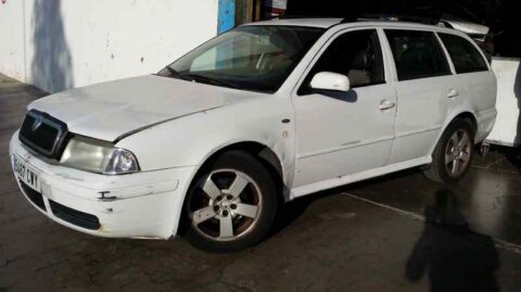 LUNA TRASERA DERECHA SKODA OCTAVIA COMBI (1U5) Ambiente