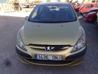 NO IDENTIFICADO PEUGEOT 307 (S1)(04.2001) XR - fotografía 2