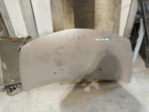 CAPO RENAULT CLIO III Authentique