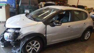 PARASOL DERECHO CITROEN - fotografía 3
