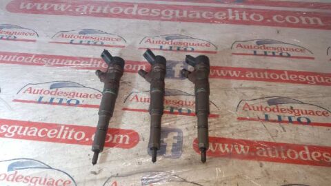 INYECTOR LAND ROVER FREELANDER (LN) E Familiar