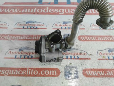 VALVULA EGR RENAULT SCENIC II (JM) Privilege