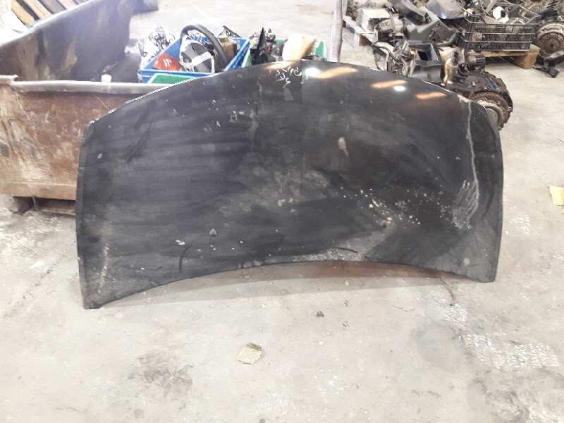 CAPO RENAULT CLIO III Authentique