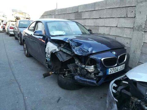 NO IDENTIFICADO BMW SERIE 2 COUPE (F22) 218d