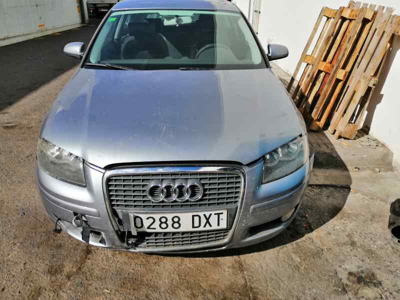 MANGUETA DELANTERA IZQUIERDA AUDI A3 (8P1) 1.6 Ambiente