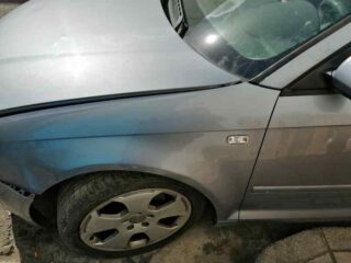 MANGUETA DELANTERA IZQUIERDA AUDI A3 (8P1) 1.6 Ambiente - fotografía 2