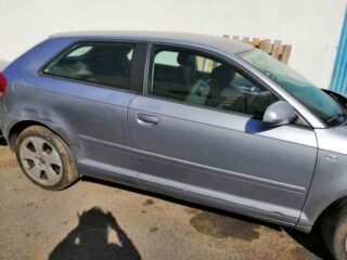 MANGUETA DELANTERA IZQUIERDA AUDI A3 (8P1) 1.6 Ambiente - fotografía 8