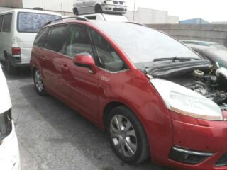 PARASOL IZQUIERDO CITROEN GRAND C4 PICASSO Exclusive - fotografía 3