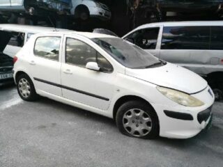 CAJA CAMBIOS PEUGEOT 307 (S1)(04.2001) XR Clim Plus - fotografía 8