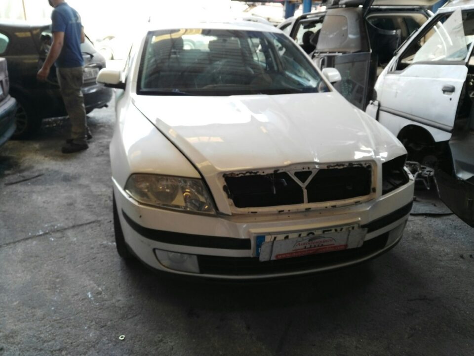 FILTRO AIRE SKODA OCTAVIA COMBI (1Z5) Elegance