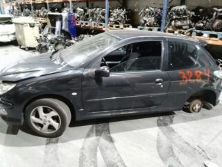 PORTON TRASERO PEUGEOT 206 XS Clim - fotografía 8