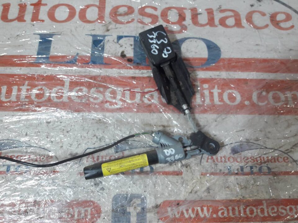 NO IDENTIFICADO CITROEN C3 1.4 Audace