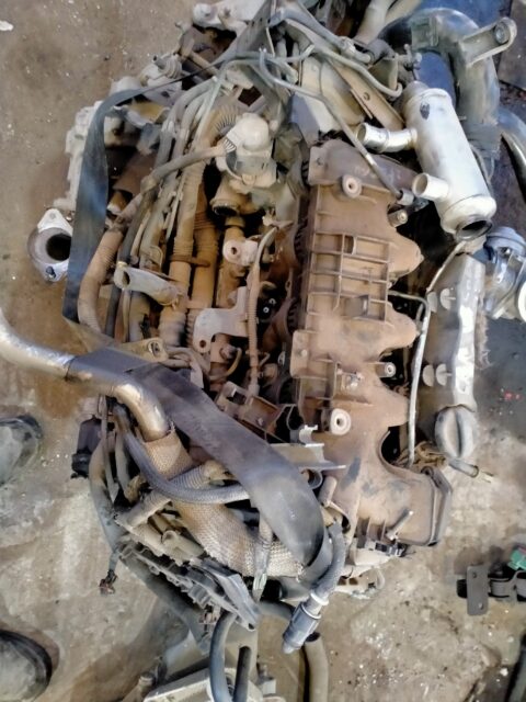 MOTOR COMPLETO FORD FOCUS C-MAX (CAP)(2003) Trend (D)