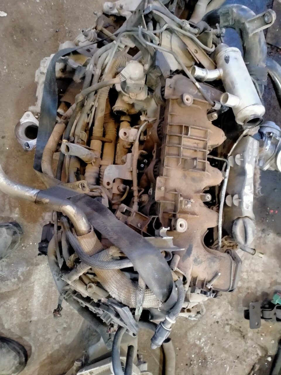 MOTOR COMPLETO FORD FOCUS C-MAX (CAP)(2003) Trend (D)