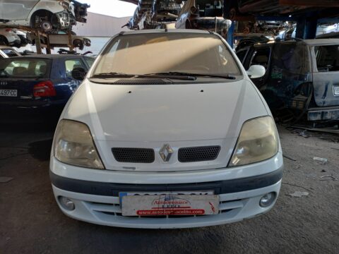 LUZ INTERIOR RENAULT MEGANE I SCENIC (JA0) 1.9 D Alize
