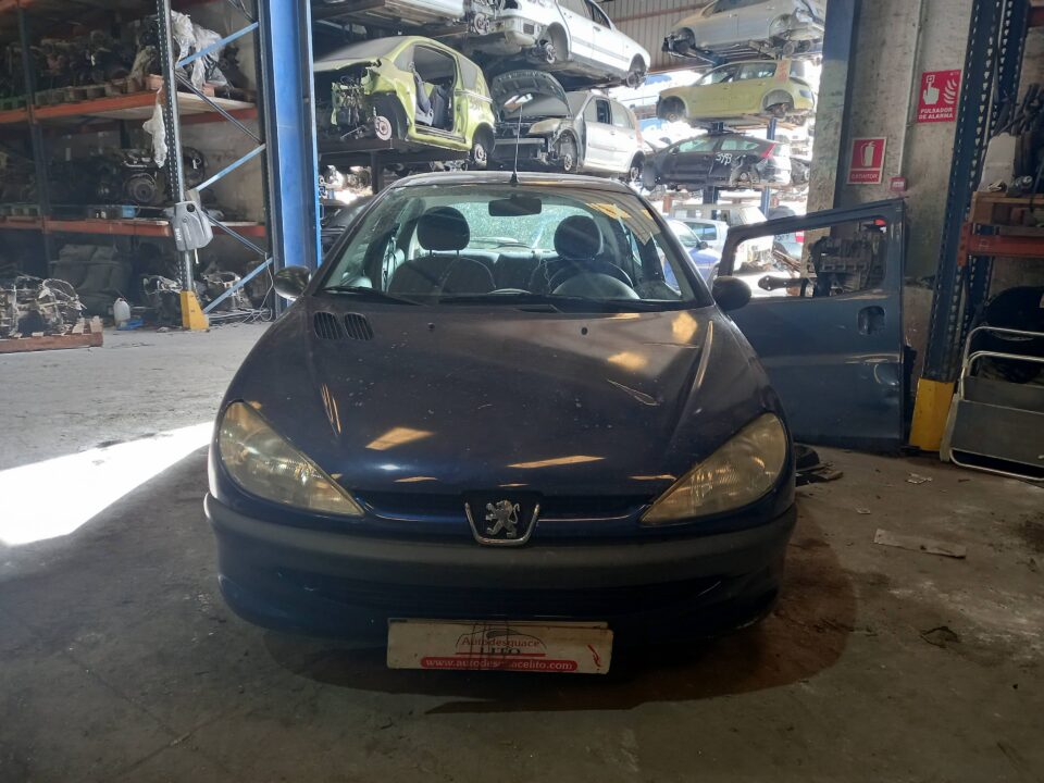 MANDO ELEVALUNAS DELANTERO IZQUIERDO PEUGEOT 206 XR