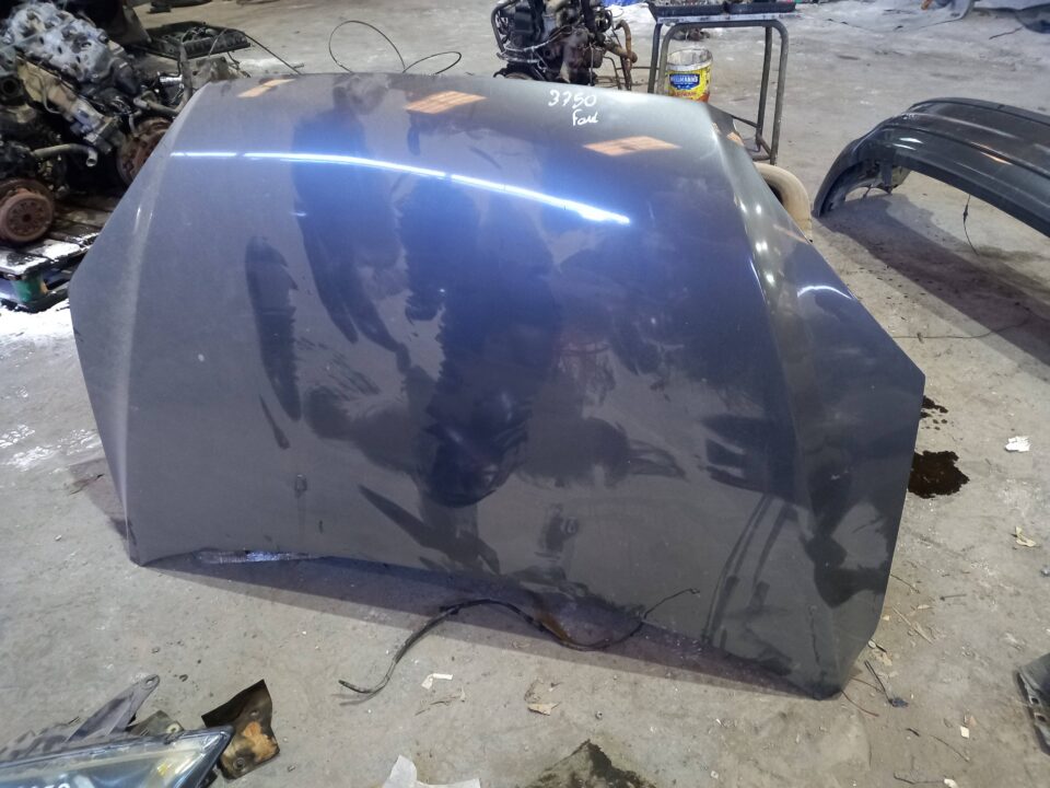 CAPO FORD FOCUS BERLINA (CAP) Ambiente (D)