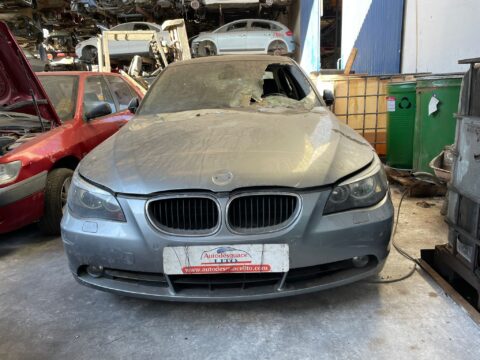 NO IDENTIFICADO BMW SERIE 5 BERLINA (E60) 530d