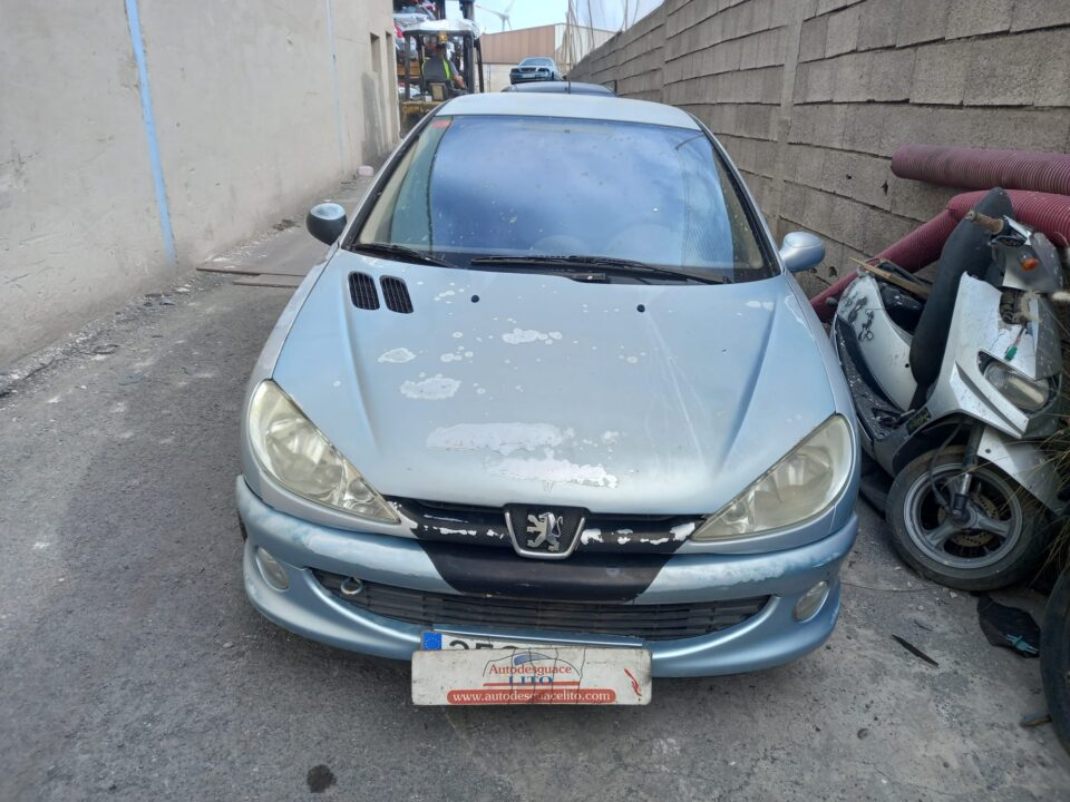 MANDO ELEVALUNAS DELANTERO IZQUIERDO PEUGEOT 206 E-Music