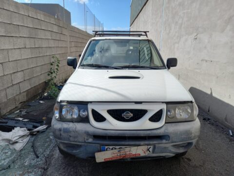 NO IDENTIFICADO NISSAN TERRANO II (R20) Avenue