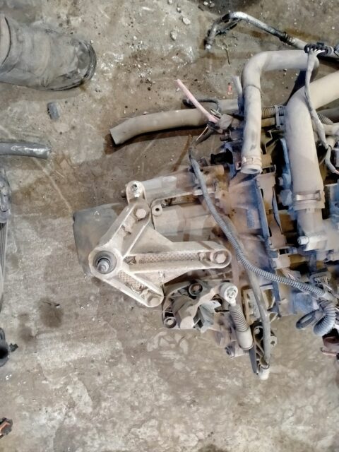 CAJA CAMBIOS RENAULT CLIO III Authentique