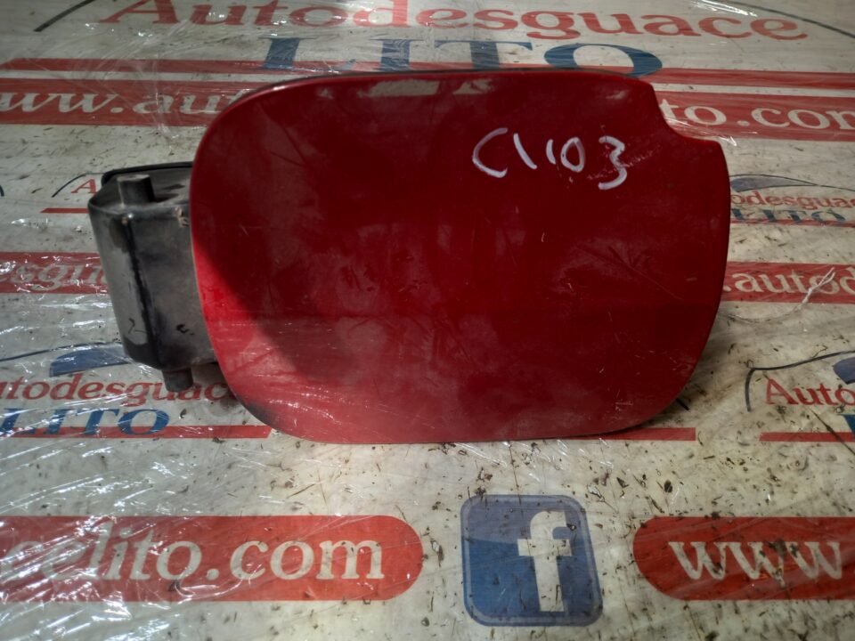 TAPA EXTERIOR COMBUSTIBLE RENAULT CLIO III Exception