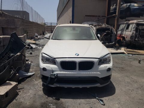 MANDO ELEVALUNAS TRASERO IZQUIERDO BMW SERIE X1 (F48) sDrive18d Business