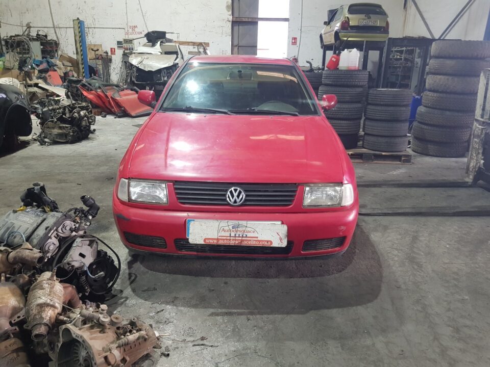 PILOTO TRASERO DERECHO VOLKSWAGEN POLO III CLASSIC (6V2) Básico