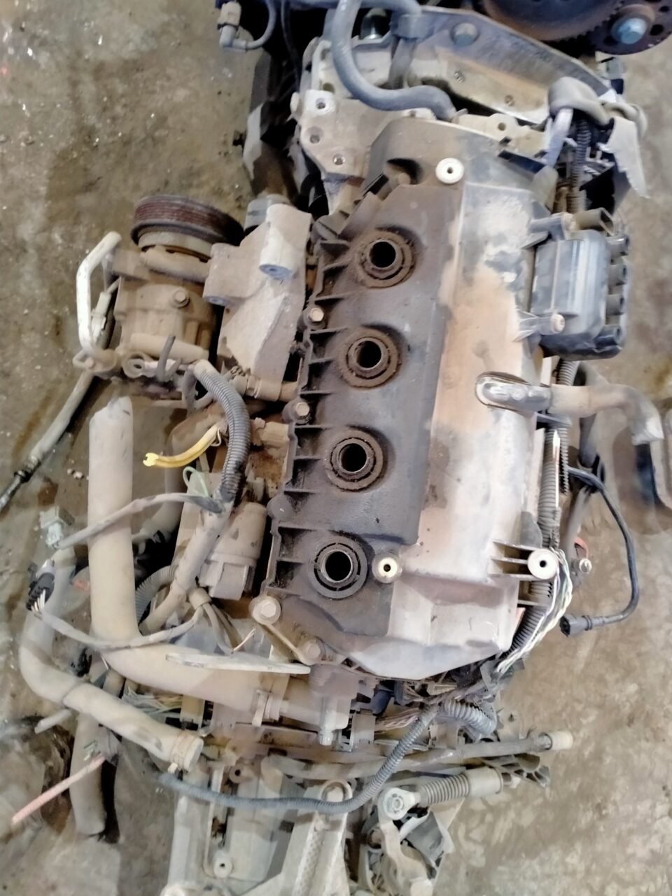 MOTOR COMPLETO RENAULT CLIO III Authentique