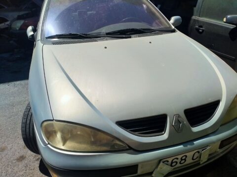 NO IDENTIFICADO RENAULT MEGANE I FASE 2 BERLINA (BA0) 1.4 16V Privilege